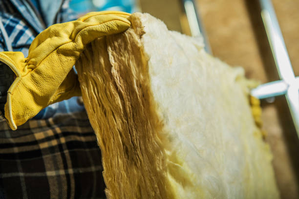 Best Insulation Installation Services in Gibraltar, MI